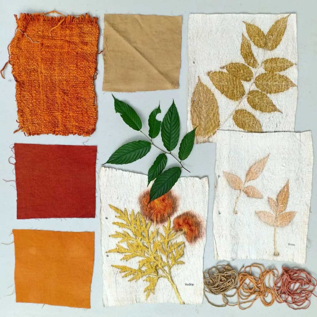 Natural dye yang digunakan oleh Semilir Ecoprint (dok. IG semilir_ecoprint)